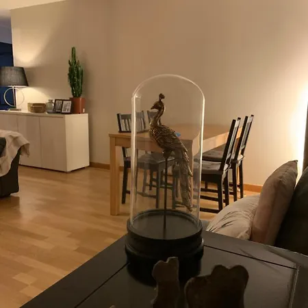 Apartment Luxury Disneyland